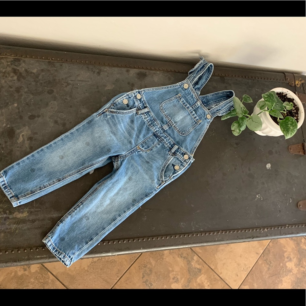 Denim Overalls